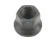 DT Spare Parts 10.10031 Radmutter, M22 x 1,5, SW: 32, H: 35,5 mm, 10 passend für BPW