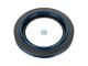 DT Spare Parts 10.10528 Wellendichtring, d: 117,5 mm, D: 157 mm, H1: 23 mm, H2: 17,5 mm passend für BPW