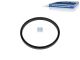 DT Spare Parts 10.10583 ABS Ring, d: 176 mm, D: 194 mm, H: 15 mm, 100 teeth passend für BPW