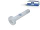 DT Spare Parts 10.16250 Federbolzen, M30 x 3,5, LTh: 40 mm, Lu: 170 mm, D: 64 mm, 8.8 passend für BPW
