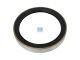 DT Spare Parts 10.20473 Wellendichtring passend für Meritor