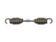 DT Spare Parts 10.23051 Bremsbackenfeder, L: 219 mm passend für Meritor