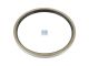 DT Spare Parts 10.30472 Wellendichtring, d: 160 mm, D: 180 mm, H: 15 mm passend für SAF