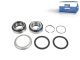 DT Spare Parts 10.30493 Reparatursatz, Radnabe passend für SAF