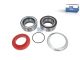 DT Spare Parts 10.30497 Reparatursatz, Radnabe passend für SAF