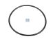 DT Spare Parts 10.30656 O-Ring, d: 92 mm, S: 4 mm passend für SAF