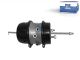 DT Spare Parts 10.95109 Federspeicherbremszylinder passend für Multimarken