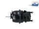 DT Spare Parts 10.95117 Federspeicherbremszylinder, links passend für Meritor