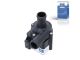 DT Spare Parts 11.14008 Wasserpumpe, Standheizung passend für VW