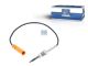 DT Spare Parts 11.80632 Abgastemperatursensor passend für Multimarken