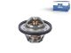 DT Spare Parts 12.18025 Thermostat, 89 °C passend für Multimarken