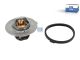 DT Spare Parts 12.18030 Thermostat, mit Dichtung passend für Multimarken
