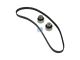 DT Spare Parts 12.90302 Zahnriemensatz, W: 25 mm, 173 teeth passend für Fiat