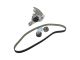 DT Spare Parts 12.90316 Zahnriemensatz, mit Wasserpumpe, W: 30 mm, 178 teeth passend für Fiat