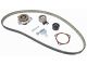 DT Spare Parts 12.90320 Zahnriemensatz, mit Wasserpumpe, W: 24 mm, 199 teeth passend für Fiat