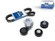DT Spare Parts 12.90401 Riemenspannersatz, Keilrippenriemen passend für Multimarken