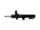 DT Spare Parts 13.17152SP Stoßdämpfer, vorne passend für Ford