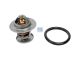 DT Spare Parts 13.42082 Thermostat, mit Dichtung passend für Ford