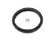 DT Spare Parts 13.42090 Dichtring, Thermostat, d: 45 mm, D: 59 mm, S: 7 mm passend für Multimarken
