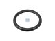 DT Spare Parts 13.42091 Dichtring, Thermostat, d: 45 mm, D: 57 mm, S: 6 mm passend für Multimarken