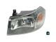 DT Spare Parts 13.77012 Hauptscheinwerfer, links passend für Ford