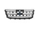 DT Spare Parts 13.87201 Frontgrill passend für Ford