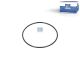 DT Spare Parts 1.00108 O-Ring, Differential, d: 75,3 mm, S: 2,4 mm passend für Scania