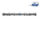 DT Spare Parts 1.00362 Nockenwelle passend für Scania