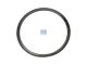 DT Spare Parts 1.10079 Zahnkranz, d: 445 mm, D: 495 mm, 163 teeth passend für Scania