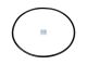 DT Spare Parts 1.10170 O-Ring, d: 117,1 mm, S: 3,5 mm passend für Scania