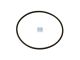 DT Spare Parts 1.10210 O-Ring, d: 98,2 mm, S: 3,5 mm passend für Scania