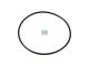 DT Spare Parts 1.10215 O-Ring, d: 108 mm, S: 3,5 mm passend für Scania