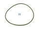DT Spare Parts 1.11174 O-Ring, d: 99,1 mm, S: 2,4 mm passend für Scania