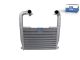 DT Spare Parts 1.11257 Ladeluftkühler, L: 825 mm, W: 592 mm, T: 64 mm passend für Scania
