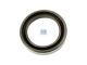 DT Spare Parts 1.14478 V-Ring, Schaltgehäuse, d: 17,4 mm, D: 25,5 mm, H: 4,5 mm passend für Scania