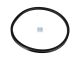 DT Spare Parts 1.16373 V-Ring, d: 153 mm, D: 166 mm, S: 10,5 mm passend für Scania