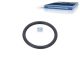 DT Spare Parts 1.16423 O-Ring, d: 47 mm, S: 5,34 mm passend für Scania