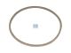 DT Spare Parts 1.17007 Dichtring, alte Ausführung, d: 162 mm, D: 172 mm, S: 5 mm passend für Scania