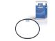 DT Spare Parts 1.17093 Dichtring, neue Ausführung, d: 162 mm, D: 171,6 mm, S: 5,8 mm passend für Scania