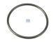 DT Spare Parts 1.17100 O-Ring, d: 100 mm, S: 6,5 mm passend für Scania