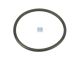 DT Spare Parts 1.17105 O-Ring, d: 95 mm, S: 6 mm passend für Scania