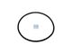 DT Spare Parts 1.17281 O-Ring, d: 31 mm, S: 4,5 mm passend für Scania