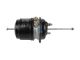 DT Spare Parts 1.18075 Federspeicherbremszylinder, M16 x 1,5, M22 x 1,5, Ls: 65 mm, Lp: 250 mm passend für Multimarken