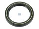 DT Spare Parts 1.18216 Wellendichtring, d: 45 mm, D: 60 mm, H: 7 mm passend für Multimarken