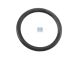 DT Spare Parts 1.24057 O-Ring, d: 48 mm, S: 6 mm passend für Scania