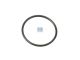 DT Spare Parts 1.24080 O-Ring, d: 22 mm, S: 1,5 mm passend für Scania