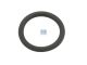 DT Spare Parts 1.24306 O-Ring, d: 19,2 mm, S: 3 mm passend für Scania