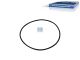 DT Spare Parts 1.24312 O-Ring, d: 100 mm, S: 3 mm passend für Multimarken
