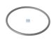 DT Spare Parts 1.24315 O-Ring, d: 32,1 mm, S: 1,6 mm passend für Scania