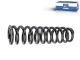 DT Spare Parts 1.25774 Feder, Kabinenstoßdämpfer, d1: 62,5 mm, d2: 70 mm, L: 270 mm, S: 1,5 mm passend für Scania